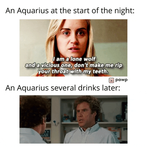 mypawp giphyupload GIF