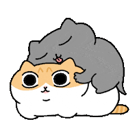Cat Love Sticker