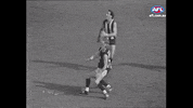 mark you beauty GIF by AFL
