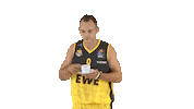 Ewe Baskets Basketball Sticker by EWE Baskets Oldenburg