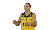Ewe Baskets Basketball Sticker by EWE Baskets Oldenburg