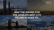 news world GIF