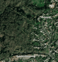 CoL_EppingForest  GIF