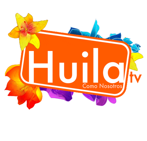 Sticker by HUILA TV