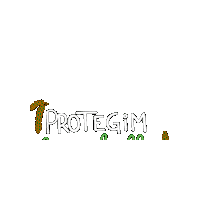 Valencia Protegida Sticker