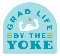 Plane Pilot Sticker by Greteman Group