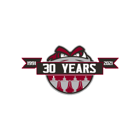 GuelphStormHockey giphygifmaker ohl guelph storm guelph hockey Sticker