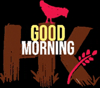 Good Morning Chickens GIF by Homegrown Kosher