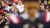 Football Nfl GIF by New England Patriots