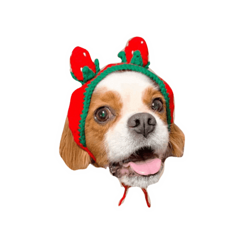Dogs Love Sticker