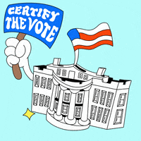 Certify Joe Biden GIF by Creative Courage