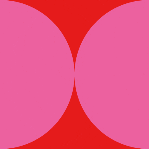 BG_Dornbirn giphyupload vorarlberg zusammen gemeinsam GIF