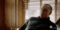 Lets Go GIF by Wolf Entertainment