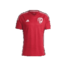 Pfsa Sticker by Penn Fusion