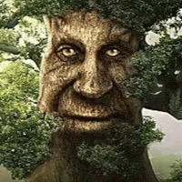 Face Tree GIF