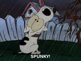 rockos modern life nicksplat GIF