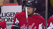 ice hockey lol GIF by NHL