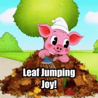 Fall Autumn GIF by The Pigasso