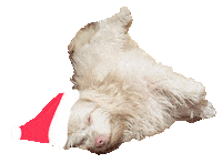 Christmastoby Sticker