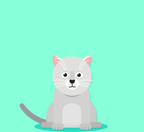 animation cat GIF