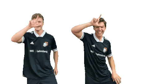 svlembeck giphyupload fortnite torjubel svlembeck Sticker