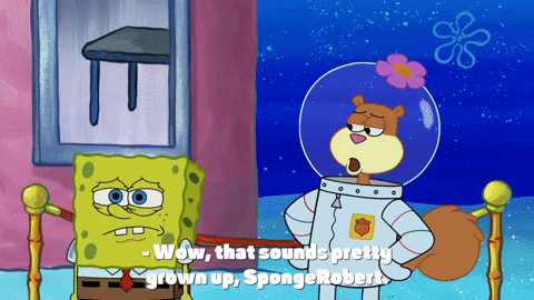 season 9 GIF by SpongeBob SquarePants
