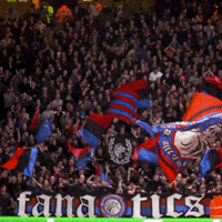 Crystal Palace Football GIF by CPFC