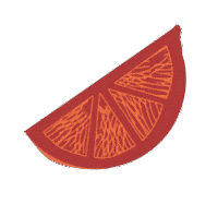 Orange Fruit Sticker