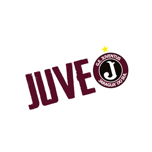 gejuventusjaraguadosul juventus juve jaraguadosul molequetravesso Sticker