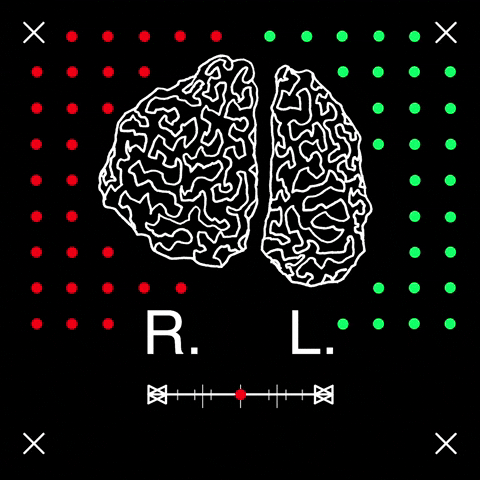 RuahEdelstein art test artist help GIF