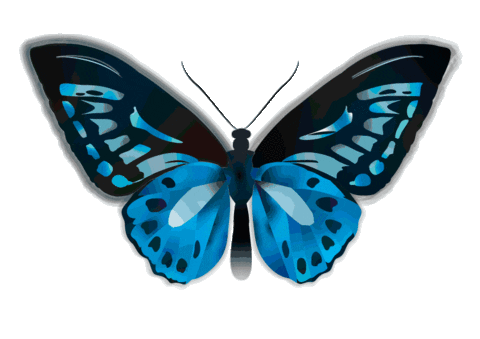 Mariposa Sticker