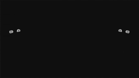 Cartoon Dark GIF by CNLA