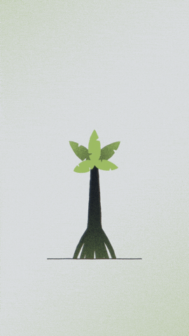 Palm Tree GIF