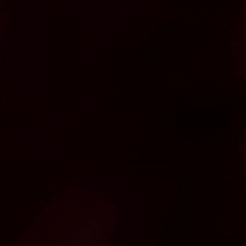 Premier League Football GIF by Southampton FC