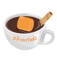 Princeton Holiday Sticker by Princeton University