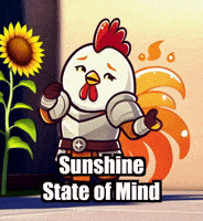 Summer Sun GIF by Zorooster