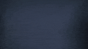 Carry Thumbs Up GIF by Copenhagen Flames