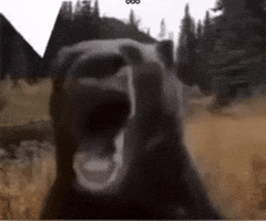 No Way Omg GIF by Bashar