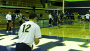 TrineUniversity trine university trine thunder trine athletics trineu GIF