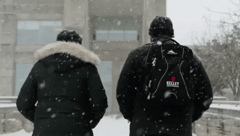 iukelleyschool giphyupload GIF