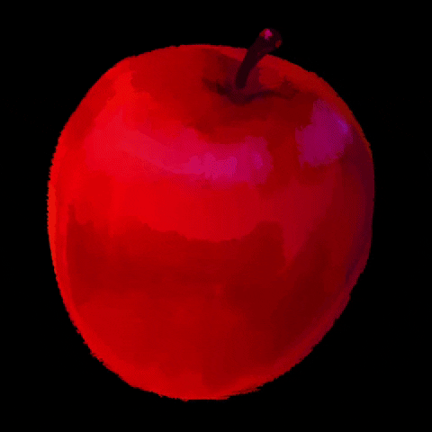 HOKENNMAIRU giphystrobetesting GIF