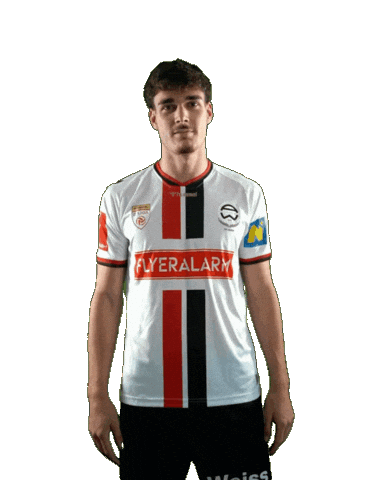 Forst Admira Sticker by KSV1919