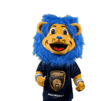 Happy Sport Sticker by USDK