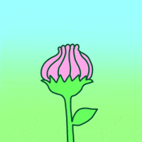 Illustrated gif. A flower peels its petals back to reveal a reclining bee laying in the pollen. The bee has a smile on and says, "Hey."