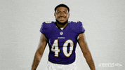 Celebrate Charm City GIF by Baltimore Ravens
