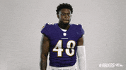 Charm City Thumbs Up GIF by Baltimore Ravens