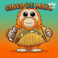 Cinco De Mayo Bonk GIF by Buddies for Paws