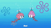 episode 1 whirly brains GIF by SpongeBob SquarePants