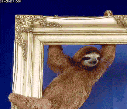 i've been framed sloth GIF by Cheezburger