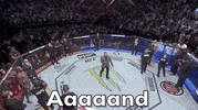 Its Time Sport GIF by UFC